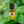Load image into Gallery viewer, Minyak Peppermint(Pudina) 15ml
